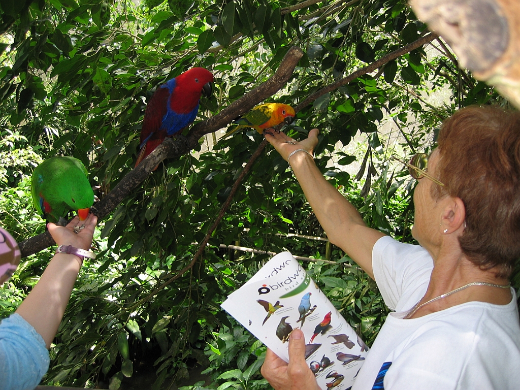 022 Birdworld Kuranda.jpg